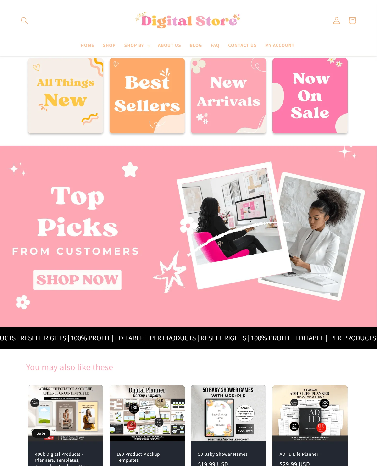 PLR Store - Business in a Box - Image 6